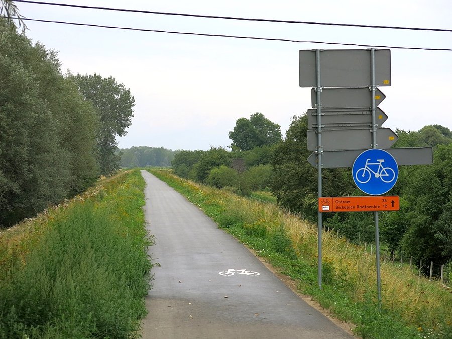 Jedna z licznych dróg rowerowych w okolicy