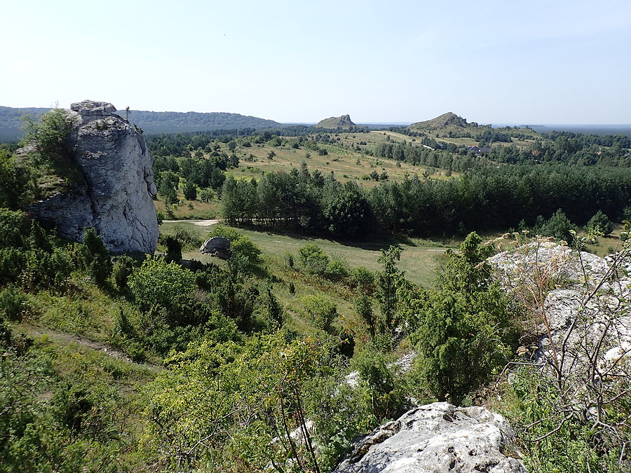 Olsztyńskie widoki