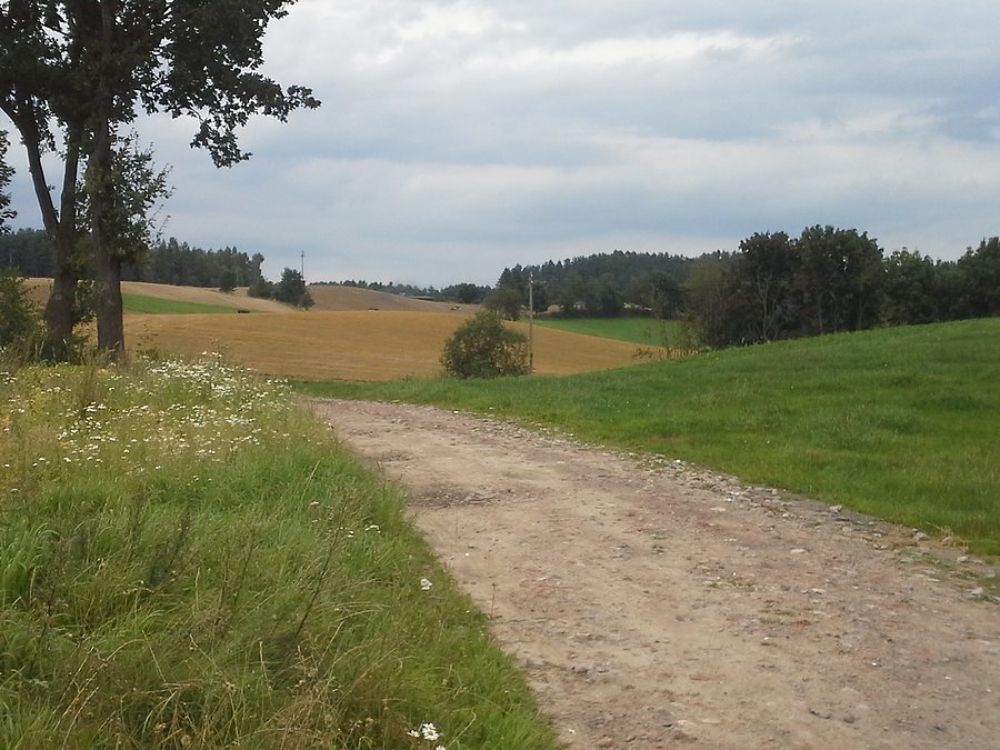 Kaszubskie krajobrazy :-)