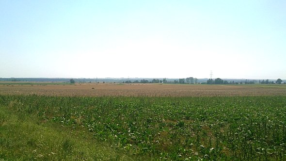 Pola koło Tyszowiec