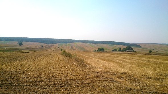Pola koło Grabowca