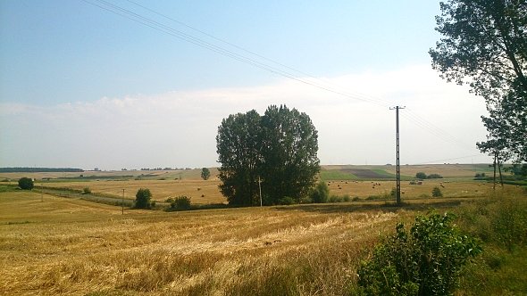 Pola koło Werbkowic