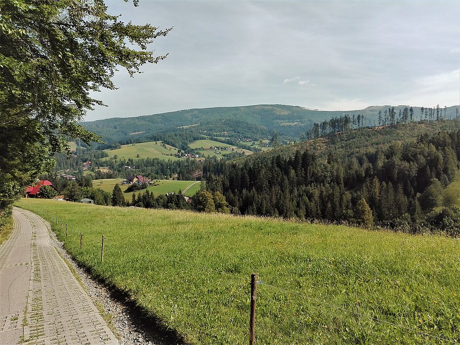 Cieńków - widok na północ