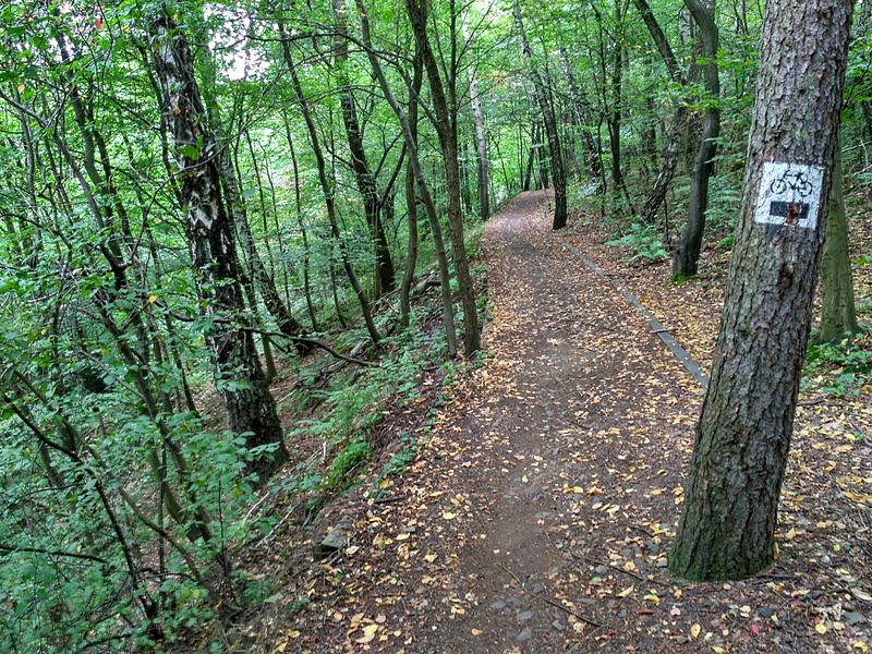 Może być ślisko