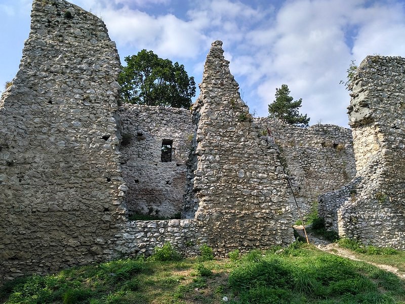 Ruiny zamku w Bydlinie
