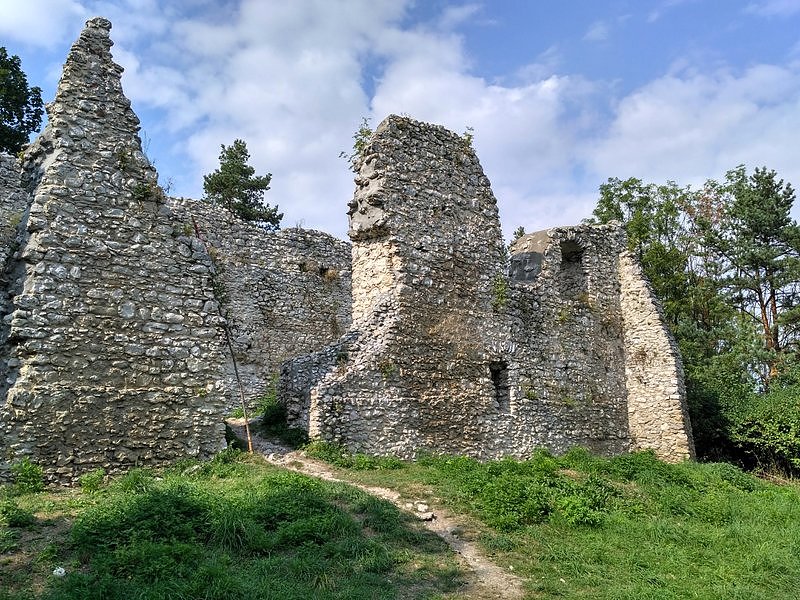 Ruiny zamku w Bydlinie