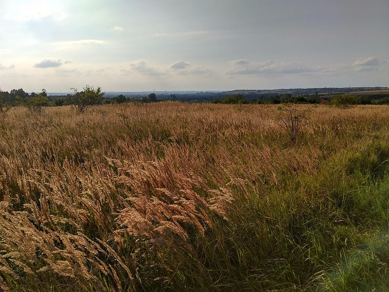 Oj piękna okolica