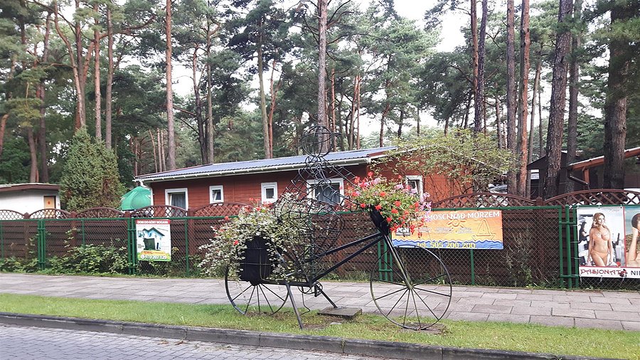 Kwiatowe instalacje w Pogorzelicy