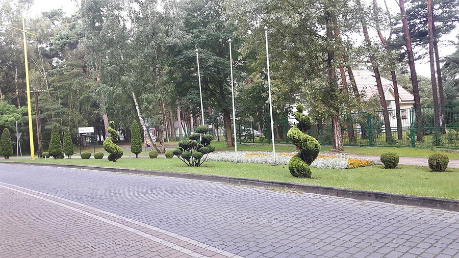 Fantazyjne formowanie krzewów