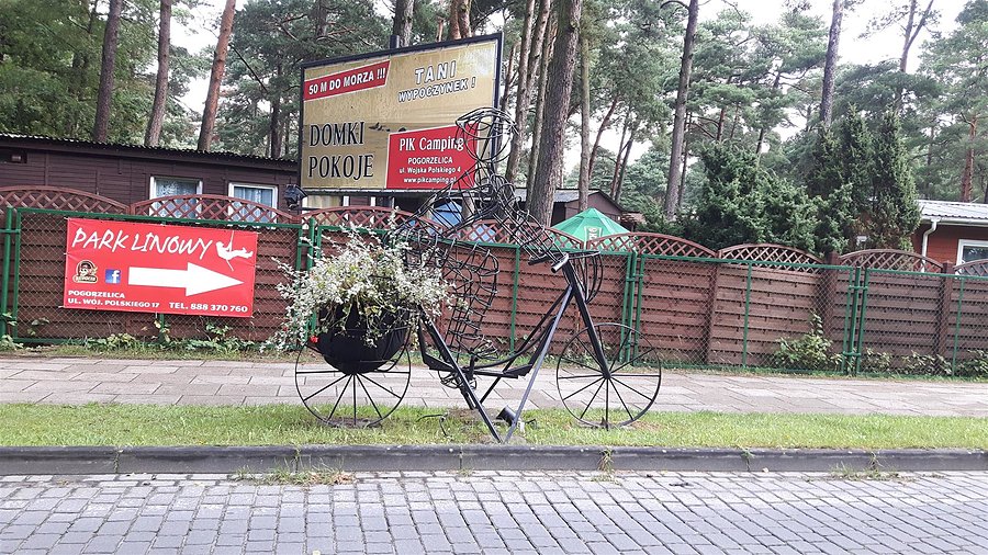 Kwiatowy rowerzysta