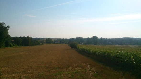 Pola w Iżycach
