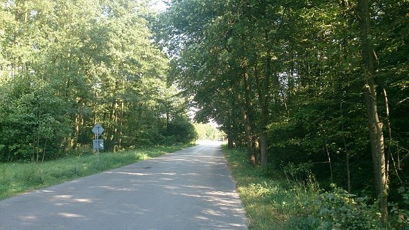 Trochę cienia