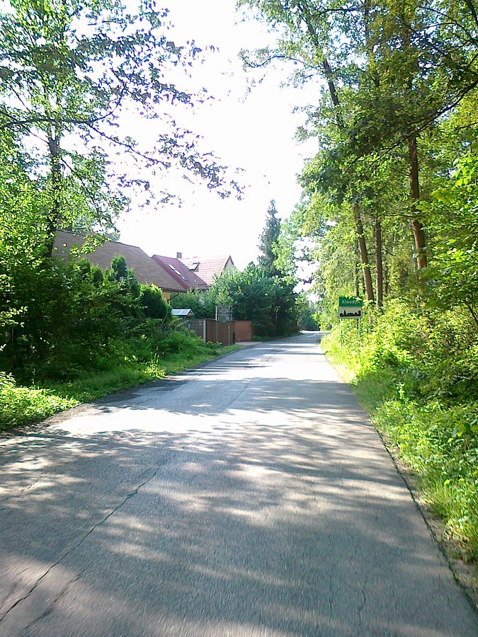 W Klaudynie