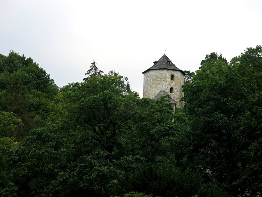 Fragment Zamku w Ojcowie
