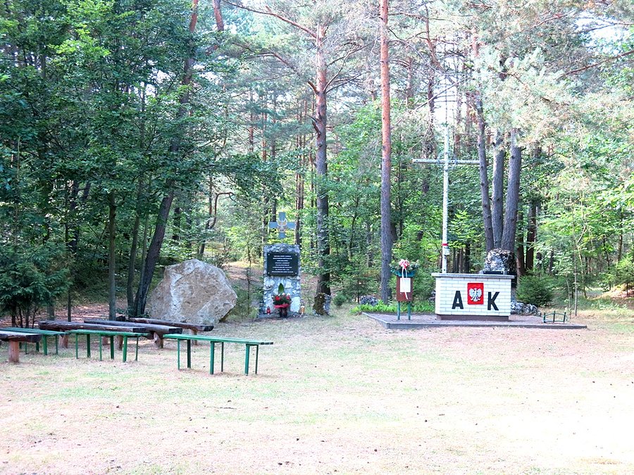 Pomnik AK w lesie