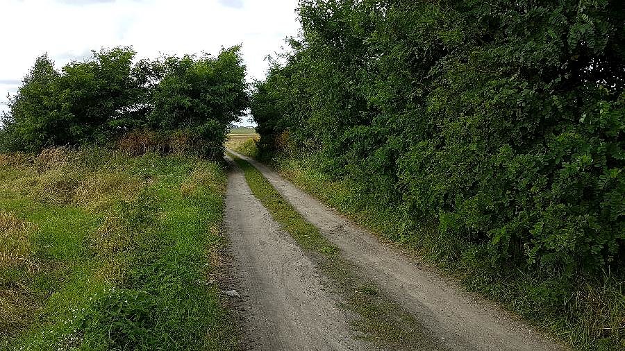Gruntowa ul.Podmiejska