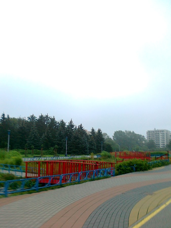 Przejechałam przez park