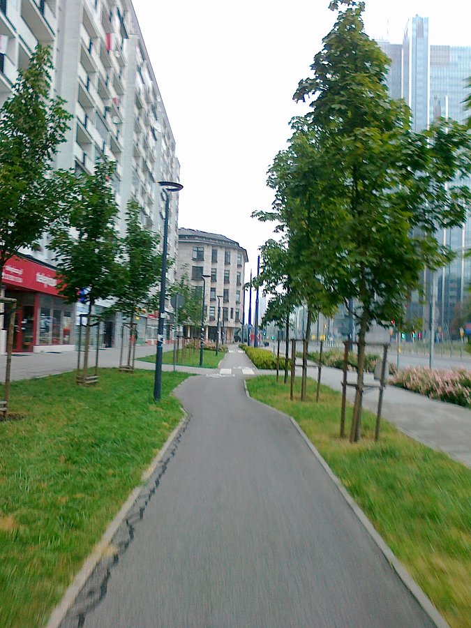 Ddr wśród zieleni