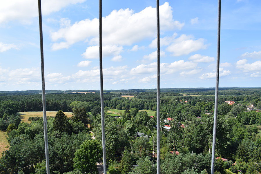 Widok z wieży