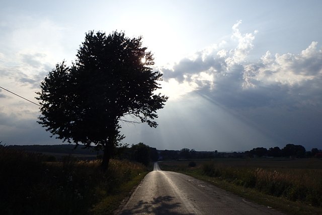 Chowając się przed słońcem