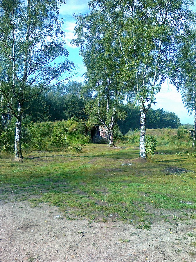 Bunkry w lesie, do niedawna był to teren wojskowy