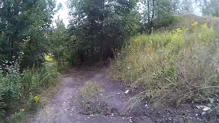 NA ścieżce przy hałdzie na Sośnicy