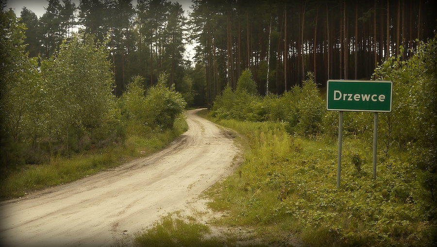 Drzewce - a gdzie mieszkańcy?