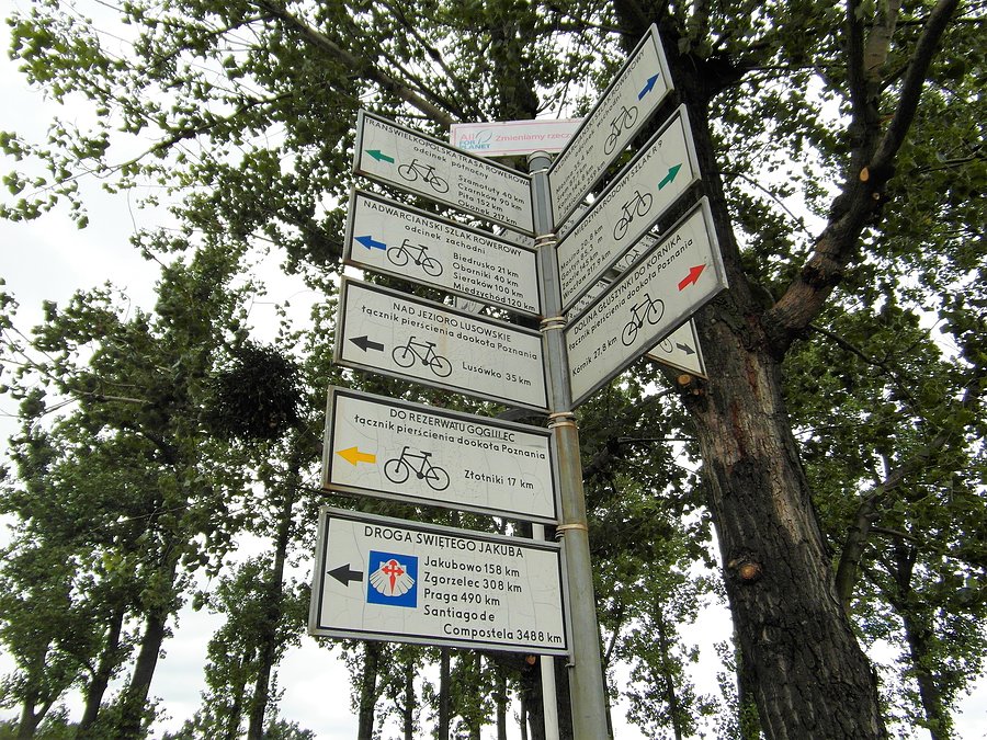 Szlaki rowerowe w Poznaniu