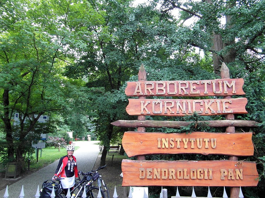 Arboretum w Kórniku