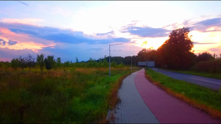 Strzykuły