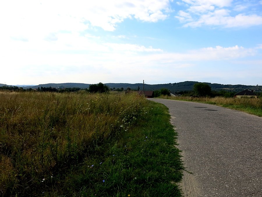 Widok w okolicach Rzędkowic