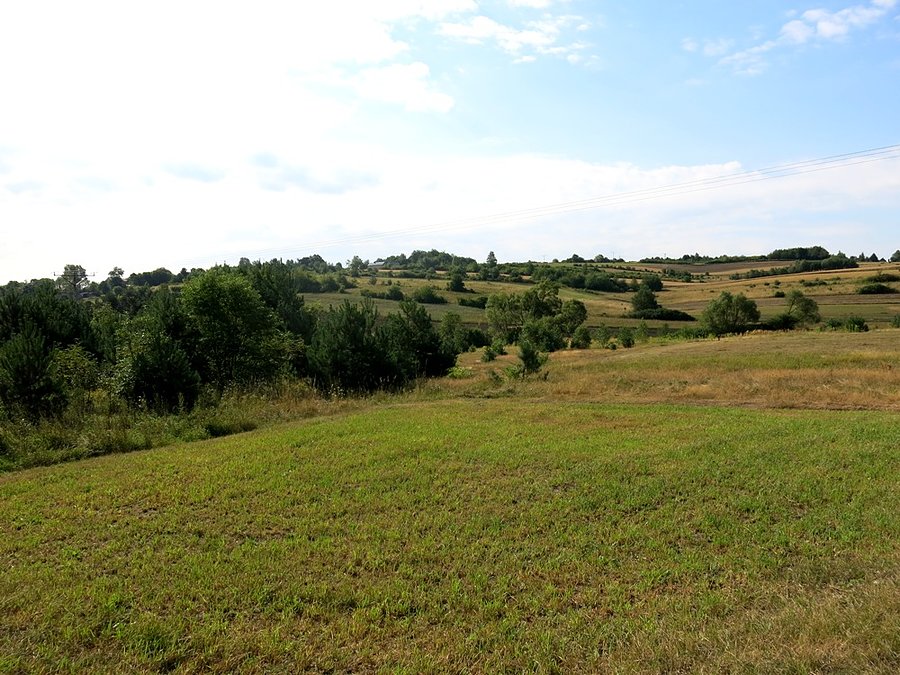Padórki Jurajskie