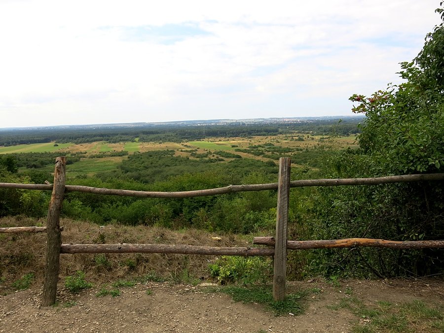 Z punktu widokowego w pobliżu ruin kościoła koło Żarek