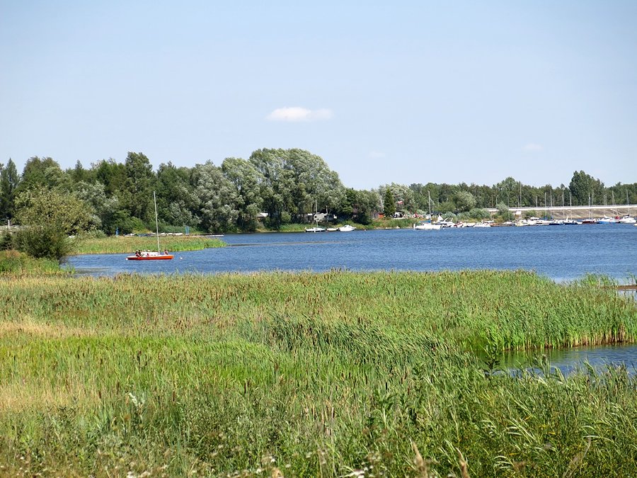 Nad Zalewem Porajskim