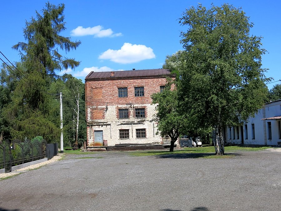 Przed młynem w Poczesnej