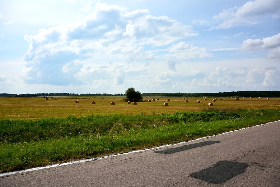 Po żniwach