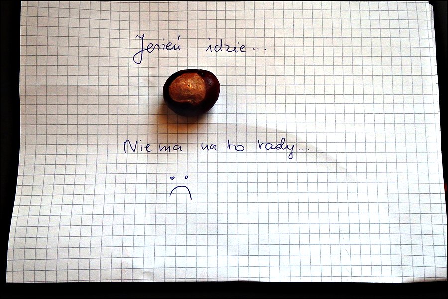 Jesień idzie