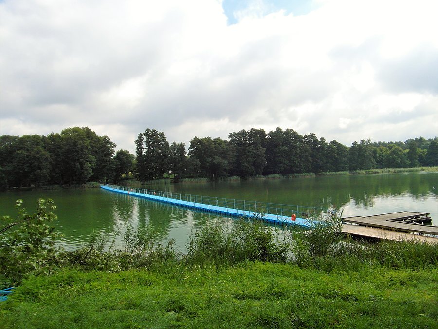 Wyspa Edwarda - Zaniemyśl