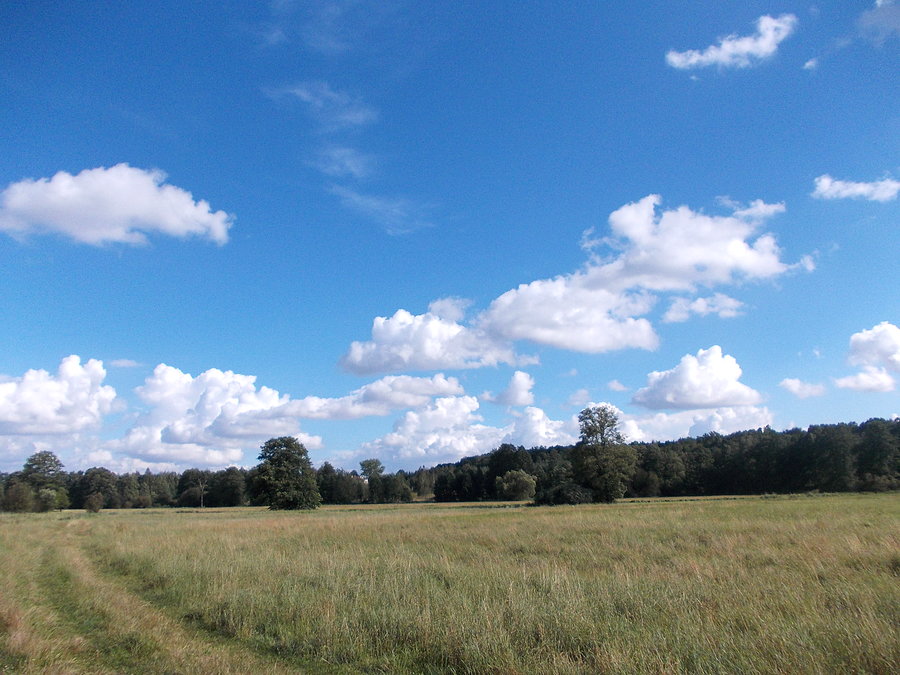 Piękne niebo