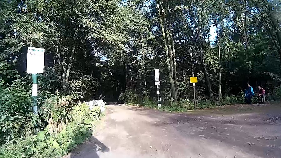 Goście nazbierali trochę grzybów