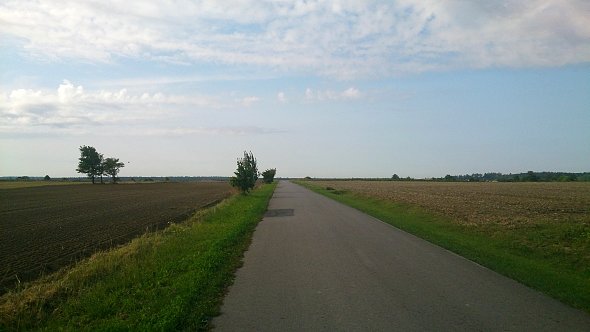 Lokalna droga w Osmolicach