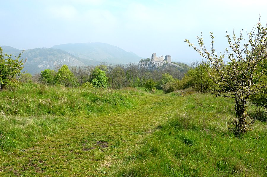 Palava (Kletenice)
