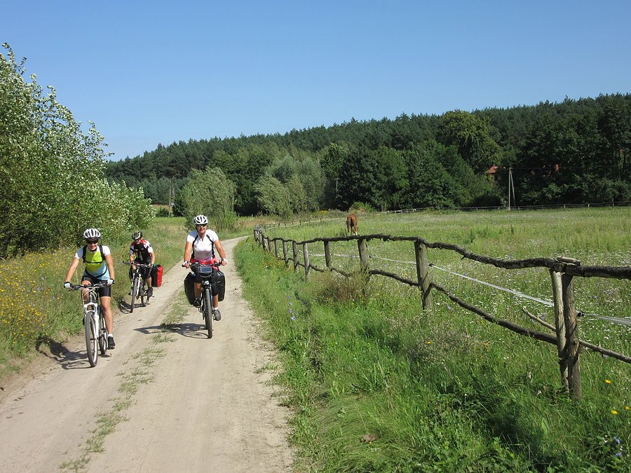Wielkopolskie szlaki