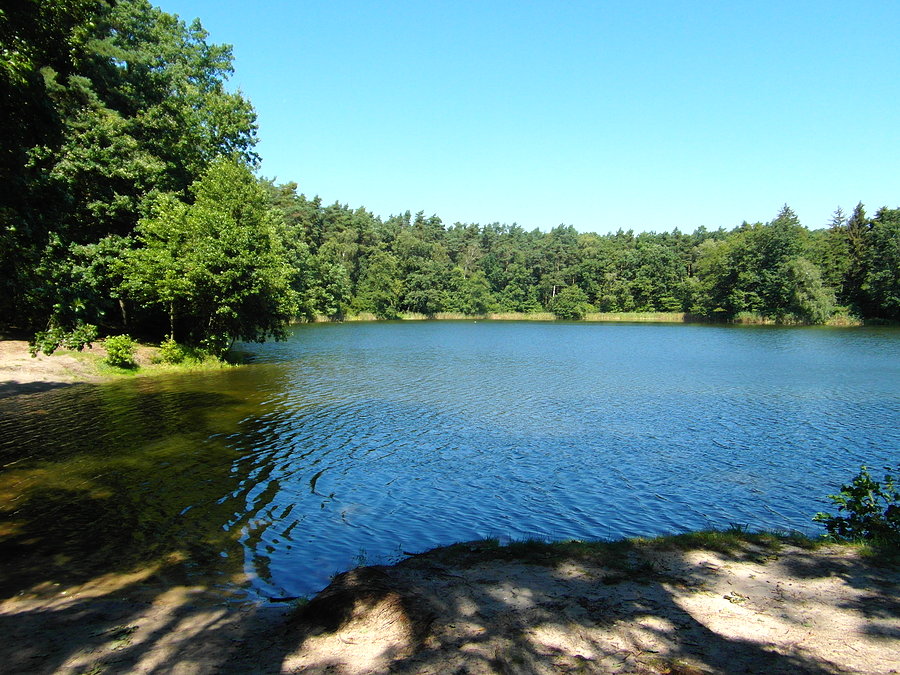 Wielkopolskie szlaki