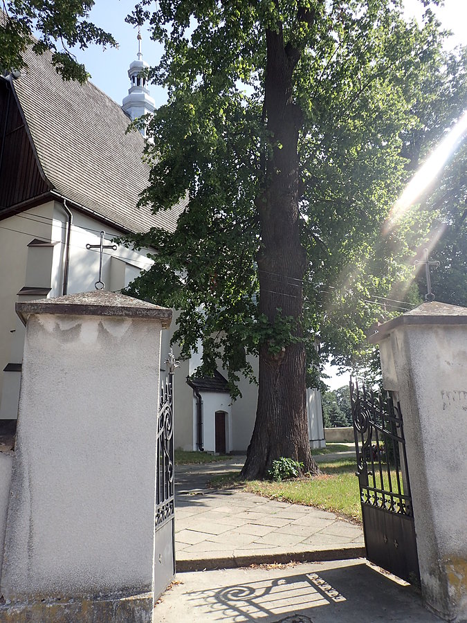 Kościół w Koziegłowach