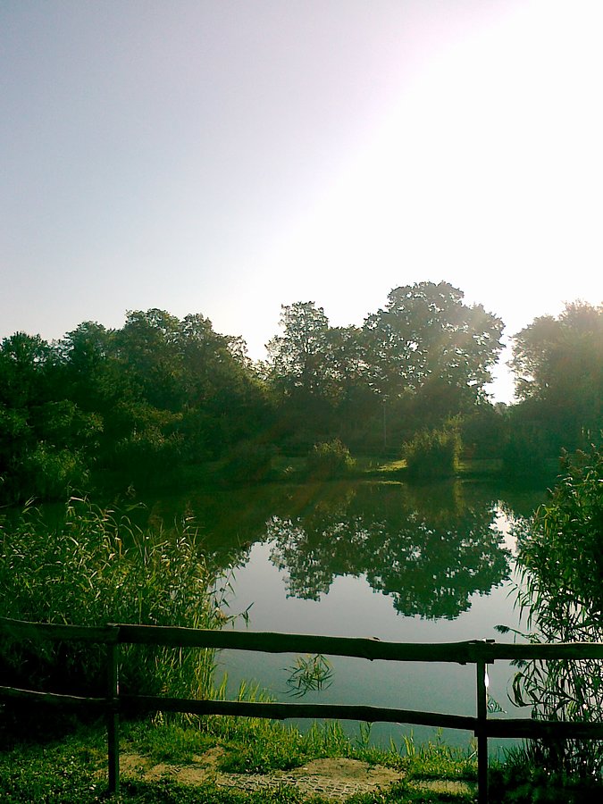 Trzeci staw