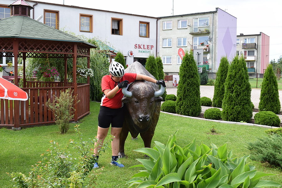 Żubr, którego nie spodziewaliśmy się w tych rejonach :)
