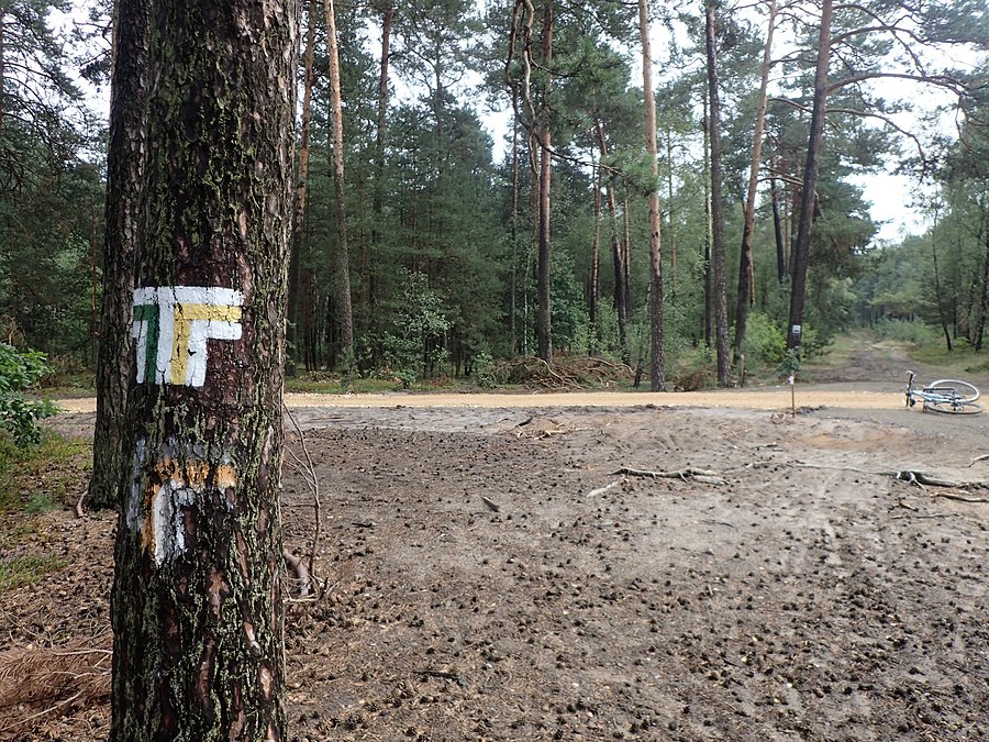 Nowa szutrówka w Sokolich