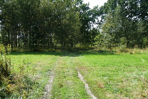 Ulica szklarniowa