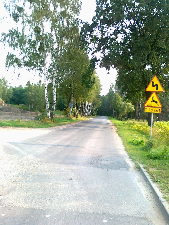 Droga Stare Babice ( a może to już Lipków) - Izabelin od jutra zamknięta. Remont